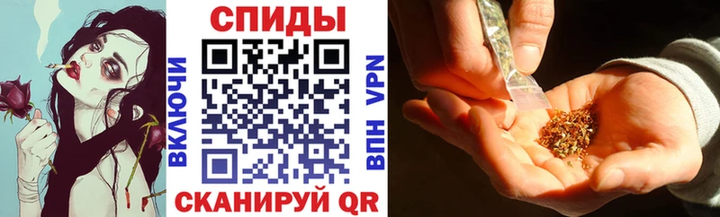 Купить где  Юрьев-Польский  Бутират BDO 33% 