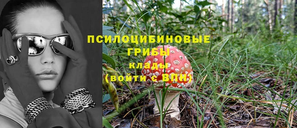 не бодяженный Дмитров