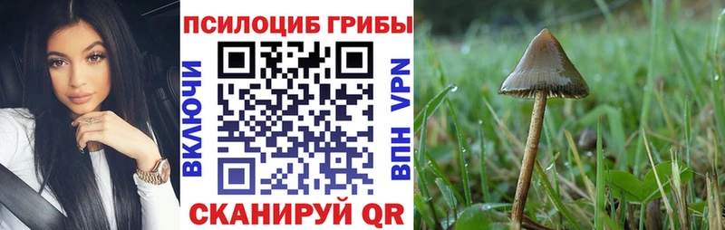 Галлюциногенные грибы MAGIC MUSHROOMS Купить где Юрьев-Польский